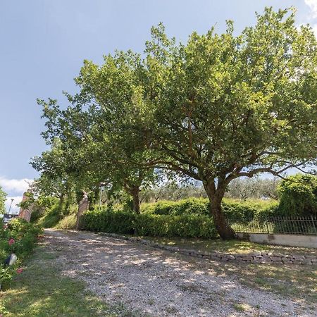 Amazing Apartment In Giano Dellumbria Pg Giano dellʼUmbria Dış mekan fotoğraf